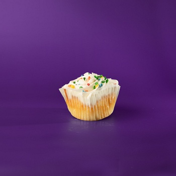 Vanilla Vanilla Cupcake